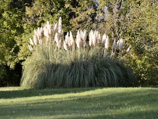 Villa Villaines-sous-Malicorne Außenaufnahme 2