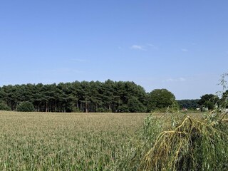 Vakantiehuis Pruillé-l'Eguillé Omgeving 31