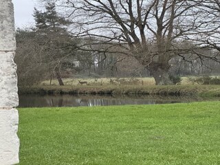 Chalet Savigné-sous-le-Lude Grabación al aire libre 2
