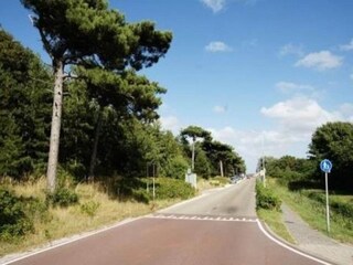 Maison de vacances Petten  13