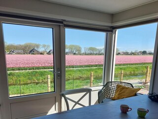 Casa de vacaciones Sint Maartenszee  14