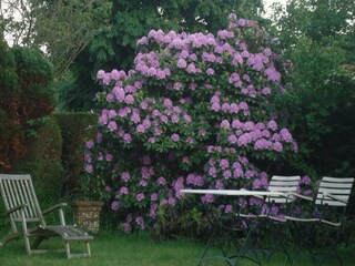 Casa de vacaciones Sint Maartenszee  10