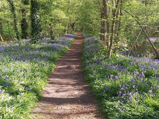 Casa de vacaciones Sint Maartenszee  24