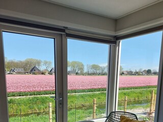 Casa per le vacanze Sint Maartenszee Registrazione all'aperto 6