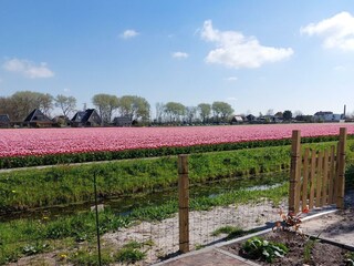 Vakantiehuis Sint Maartenszee Buitenaudio-opname 19