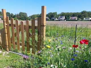 Casa per le vacanze Sint Maartenszee Registrazione all'aperto 20