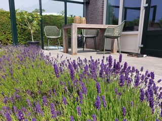 Ferienhaus Sint Maartenszee Außenaufnahme 21
