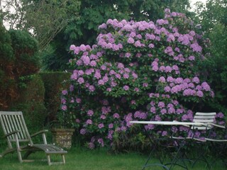 Maison de vacances Sint Maartenszee Enregistrement extérieur 22