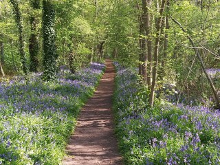 Casa per le vacanze Sint Maartenszee Registrazione all'aperto 23