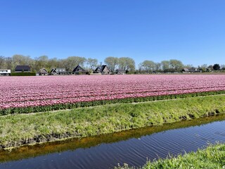 Casa per le vacanze Sint Maartenszee Registrazione all'aperto 28