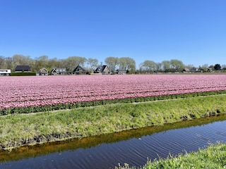 Holiday house Sint Maartenszee Outdoor Recording 28