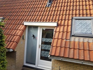 Holiday house Burgerbrug Outdoor Recording 2