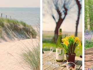 Ferienhaus Burgerbrug Außenaufnahme 26