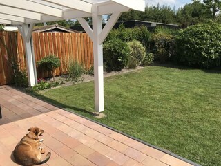 Vakantiehuis Sint Maartenszee Buitenaudio-opname 11