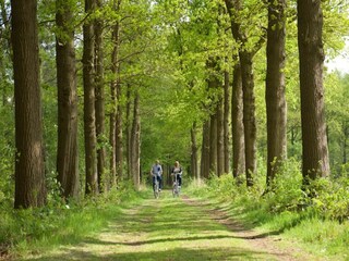 Vakantiehuis Scherpenzeel Omgeving 14