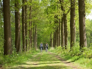 Ferienhaus Scherpenzeel Umgebung 16