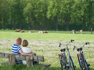 Ferienhaus Scherpenzeel Umgebung 13