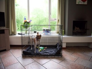 Vakantiehuis Scherpenzeel  22