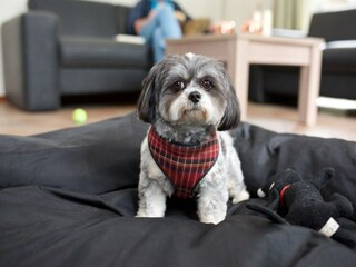 Casa de vacaciones Scherpenzeel  22