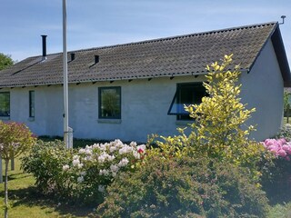 Ferienhaus Årøsund Außenaufnahme 1