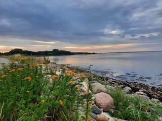 Maison de vacances Årøsund  18