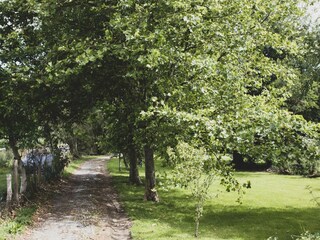Chalet Barvaux-sur-Ourthe Environnement 29