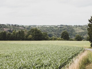 Chalet Barvaux-sur-Ourthe Entorno 30