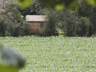 Chalet Barvaux-sur-Ourthe Ambiente 33