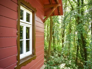 Ferienhaus Heringsdorf (Seebad) Außenaufnahme 7