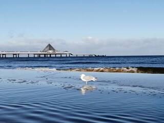 Ferienhaus Heringsdorf (Seebad) Umgebung 21
