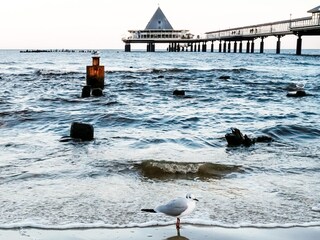 Maison de vacances Heringsdorf (Seebad) Environnement 25