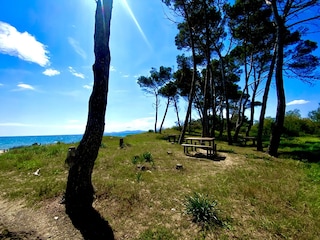 Apartment Piombino Umgebung 31