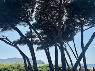 Apartment Piombino Umgebung 29
