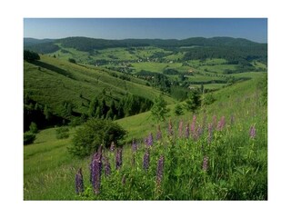 Landschaftseindruck