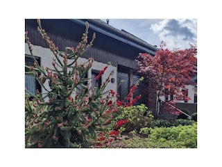 Ferienhaus Korn am Bärensteig