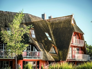 Apartment Dierhagen Umgebung 17