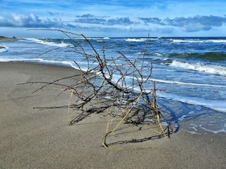 Appartement Dierhagen Omgeving 61