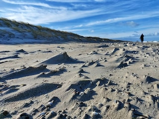 Appartement Dierhagen Omgeving 20