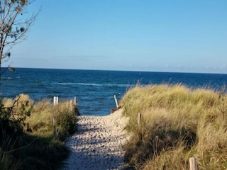 Apartment Dierhagen Environment 20