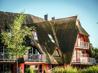 Appartement Dierhagen Omgeving 13