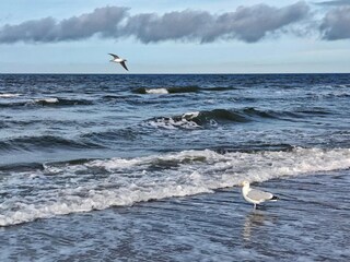 Appartement Dierhagen Omgeving 28