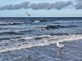 Appartement Dierhagen Omgeving 28