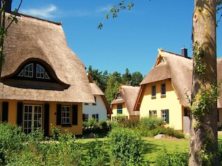 Holiday house Dierhagen Outdoor Recording 2
