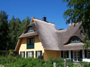 Ferienhaus Küstenwaldvilla in Dierhagen - Dierhagen - image1