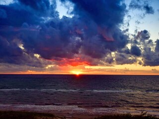 Ferienhaus Dierhagen Umgebung 39