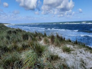 Vakantiehuis Dierhagen Omgeving 22
