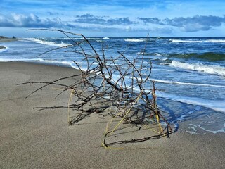 Vakantiehuis Dierhagen Omgeving 26