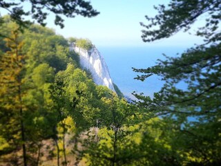 Kreidefelsen auf Rügen