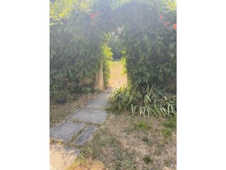 Villa Maillane Environment 19