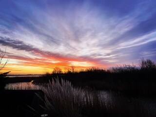 Ferienhaus Makkum Außenaufnahme 12